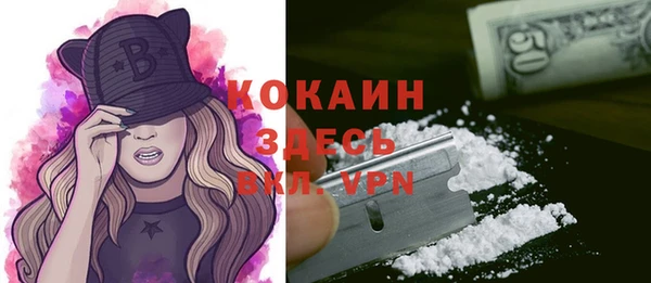 стаф Гусь-Хрустальный
