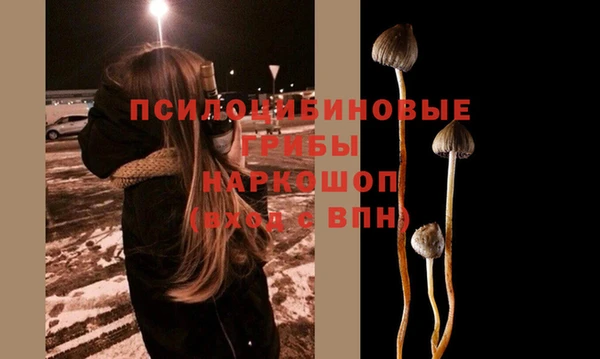 PSILOCYBIN Гусев