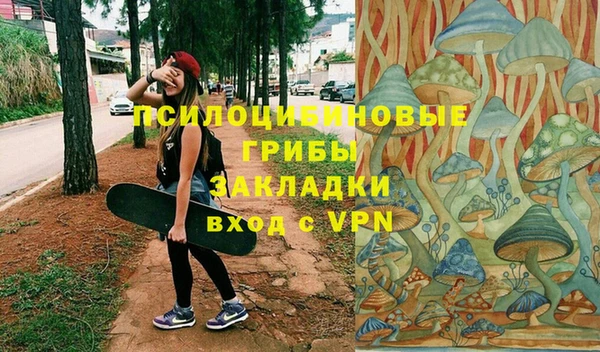 apvp Дмитровск