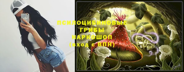 стаф Гусь-Хрустальный