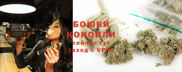 PSILOCYBIN Гусев