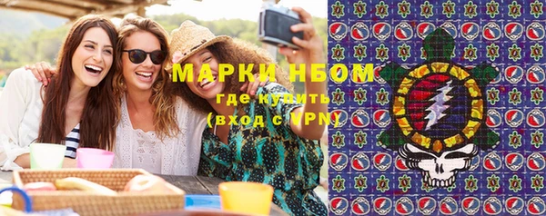 PSILOCYBIN Гусев